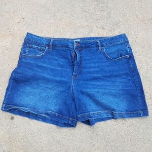 Sz 22 - Terra & Sky Women's Classic Blue Jean Shorts